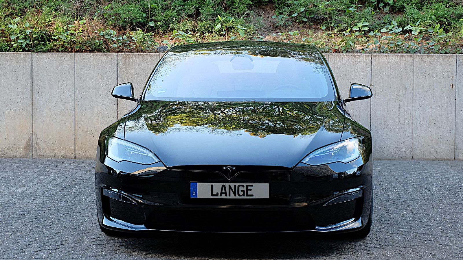 Tesla Model S Dual Motor Performance foto 4