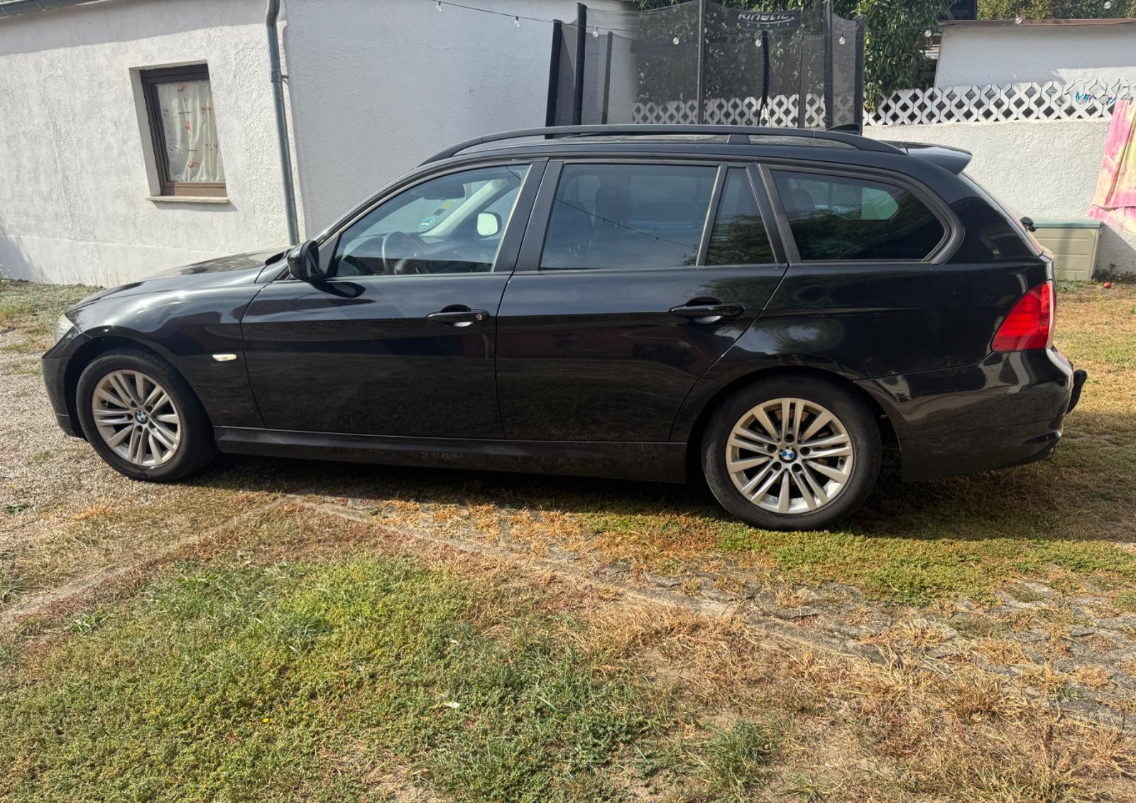 BMW 318 2010 — rear view
