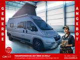 Globecar Globestar *Gewerbeangebot* - Globecar Kastenwagen