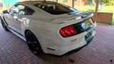 Ford Mustang 5.0 GT, Shelby-350 BodyKit, TÜV+Öl Neu - Ford Mustang: Gt350