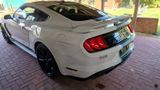 Ford Mustang 5.0 GT, Shelby-350 BodyKit, TÜV+Öl Neu - Ford Mustang: Gt350 Shelby