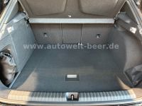 Cupra Terramar - Vorschau Bild 26