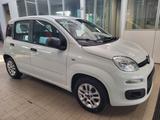 Fiat Panda 1.2 Young PREZZO REALE!! - Fiat Panda: Young