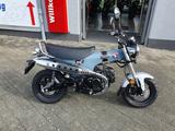 Honda DAX 125 ST125 + 6 Jahre Garantie - TZ - 0KM - HONDA DAX