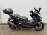 Honda Forza 350 - sehr guter Zustand ! - Angebote