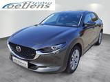 Mazda CX-30 Selection 122 PS Schalter Design-Paket Al - gebrauchte Mazda CX-30 aus dem Jahr 2022