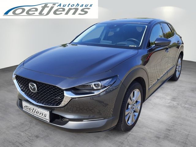 Mazda CX-30 Selection 122 PS Schalter Design-Paket Al