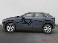 Mazda CX-30 - Vorschau Bild 2