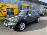MINI Cooper S Paceman ALL4 Navi HarmanKardon Bi-Xenon - graue Mini Paceman Serie