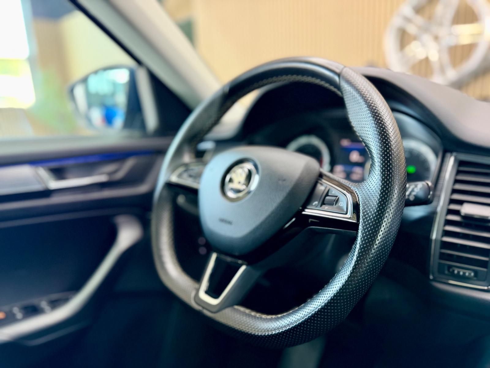 Skoda Kodiaq Ambition 4x4 Querdifferentialsperre/Pano.