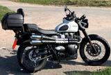 Triumph Scrambler 900 - TRIUMPH 900 SCRAMBLER