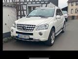 Mercedes-Benz Mercedes ML450CDI - Mercedes-Benz ML 450: Cdi
