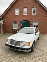 Other Daimler 250D Automatik Limousine,  Top Zustand - Other Oldtimer: Limousine