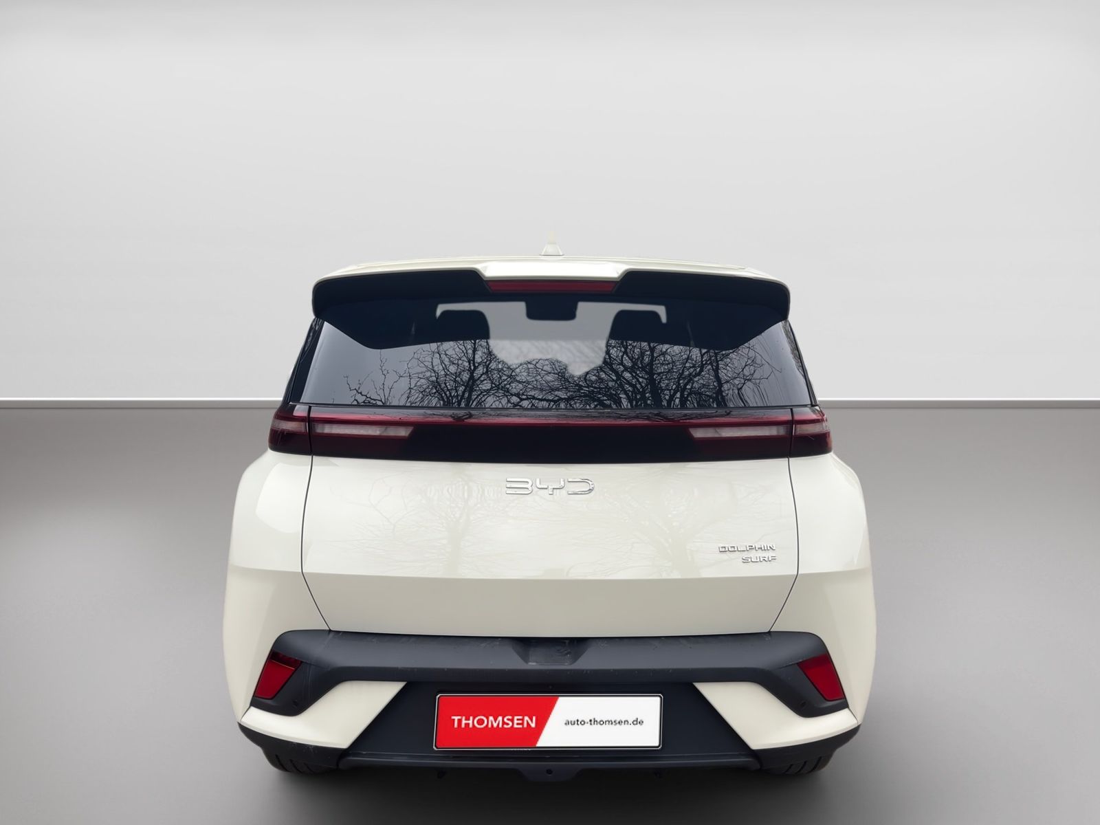 BYD DOLPHIN SURF