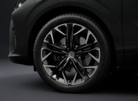 Cupra Terramar - Vorschau Bild 4