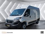Fiat Ducato L2H2 Kastenwagen Holzboden & Verkleidung  - Fiat Ducato Gebrauchtwagen in Stuttgart