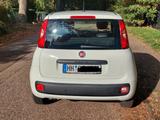Fiat Panda EZ 04/2019*11.917 km*HU 5/2026 - Fiat Panda in Hamburg