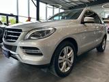 Mercedes-Benz ML 250*PANO*Tempo*Sport*BI-Xenon* - Mercedes-Benz ML 250 aus 2015