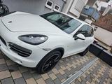 Porsche Cayenne S Diesel S - Porsche Cayenne in Karlsruhe