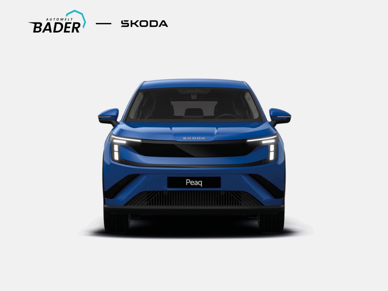 Skoda Andere - Bild 3