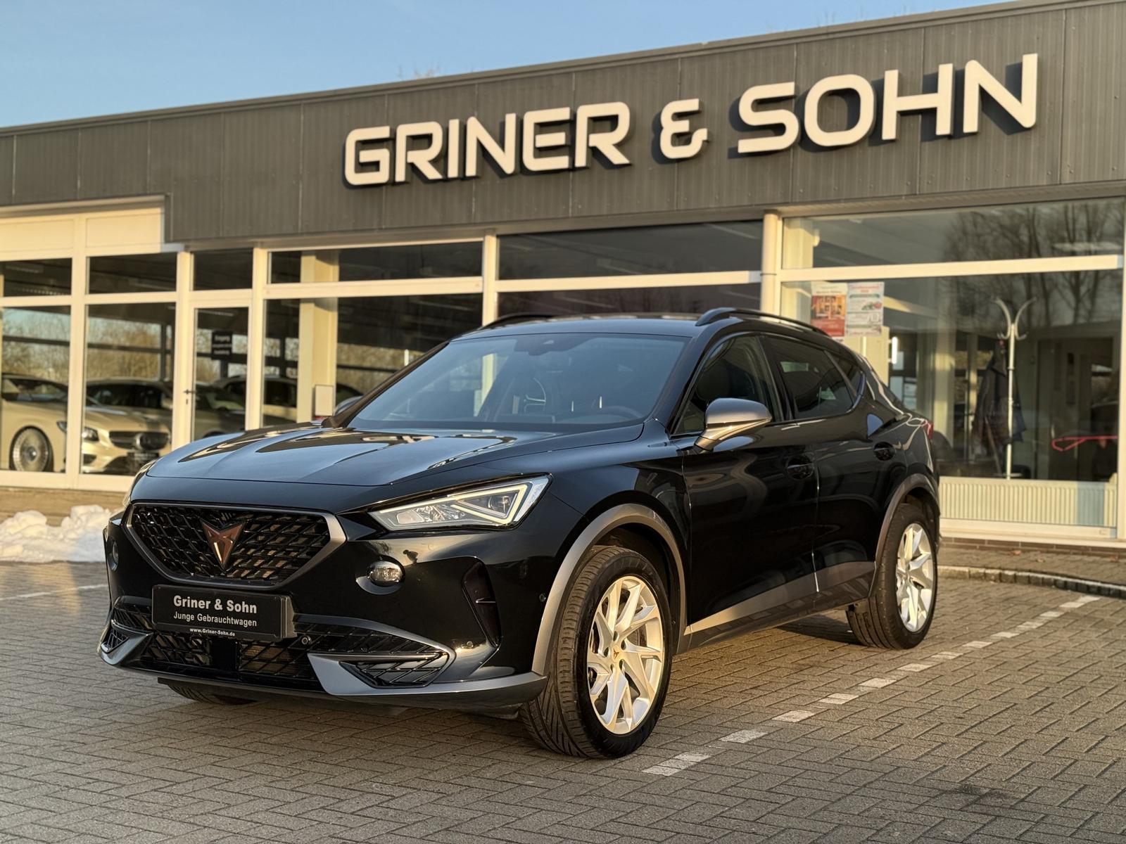 Cupra Formentor Virtual,R-Kamera,3-Zonen.3,99%