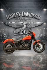 Harley-Davidson FXLRS Softail Low Rider S  - Offers