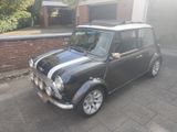 Rover Mini