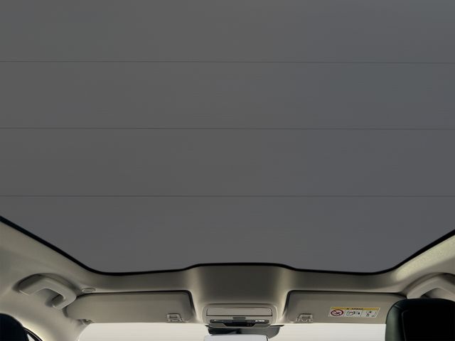 Ford Mustang MACH-E RWD 75kWh Tech-Pkt. 2, Panodach, 