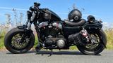 Harley-Davidson Sportster Forty Eight XL1200S Umbau - HARLEY-DAVIDSON XL 1200 FORTY EIGHT