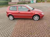 Volkswagen TOP FÜR FAHRANFÄNGER  VW POLO 6N 77 TKM TÜ... - : Kleinwagen, Für Fahranfänger