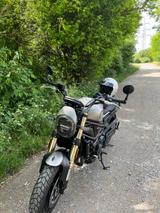 Benelli Leoncino 800 - BENELLI LEONCINO 800
