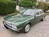 Jaguar XJ 40 Sovereign 3.6 - ASI con CRS - BELLI - Jaguar XJ Oldtimer