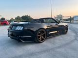 Ford Mustang 5.0 Ti-VCT V8 GT Cabrio - Neuwertig - Ford Mustang in Hagen