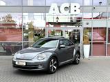 Volkswagen Beetle 1.4 TSI DSG Design Xenon Panorama DAB PTS - Volkswagen Beetle: Sportwagen