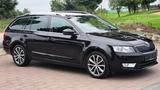 Skoda Octavia Co. Edition 1.4l 150PS XEN SHZ 1HAND GRA - Skoda Octavia mit Benzin-Antrieb: Edition