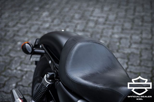 Fahrzeugabbildung Harley-Davidson XL883N SPORTSTER IRON - HEIZGRIFFE - Wartung neu
