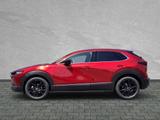 Mazda CX-30 #Homura #Navi #SofortVerfügbar - Mazda CX-30 Tageszulassungen