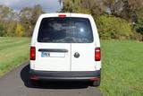 Volkswagen Caddy Maxi - VW Caddy Maxi von privat