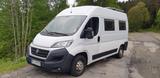 Fiat Ducato L2H2 Camper - Seekiefer Holz 6 Sitzer - Fiat L2h2
