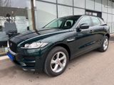 Jaguar F-PACE Prestige AWD/Leder/Navi/Xenon/ - Jaguar: Grün