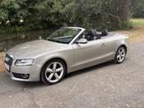 Audi A5 Cabriolet 2.0 TFSI Motor Neu 0km TPI2 Top - Audi A5 aus 2009: Cabrio