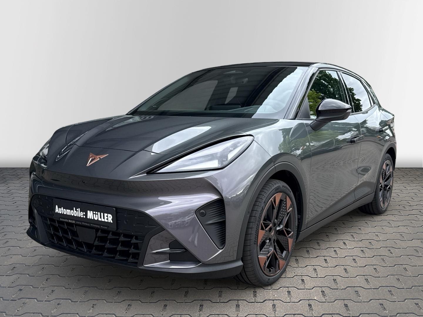 Cupra Raval Endurance Edition Dynamic Plus Plasma Digi