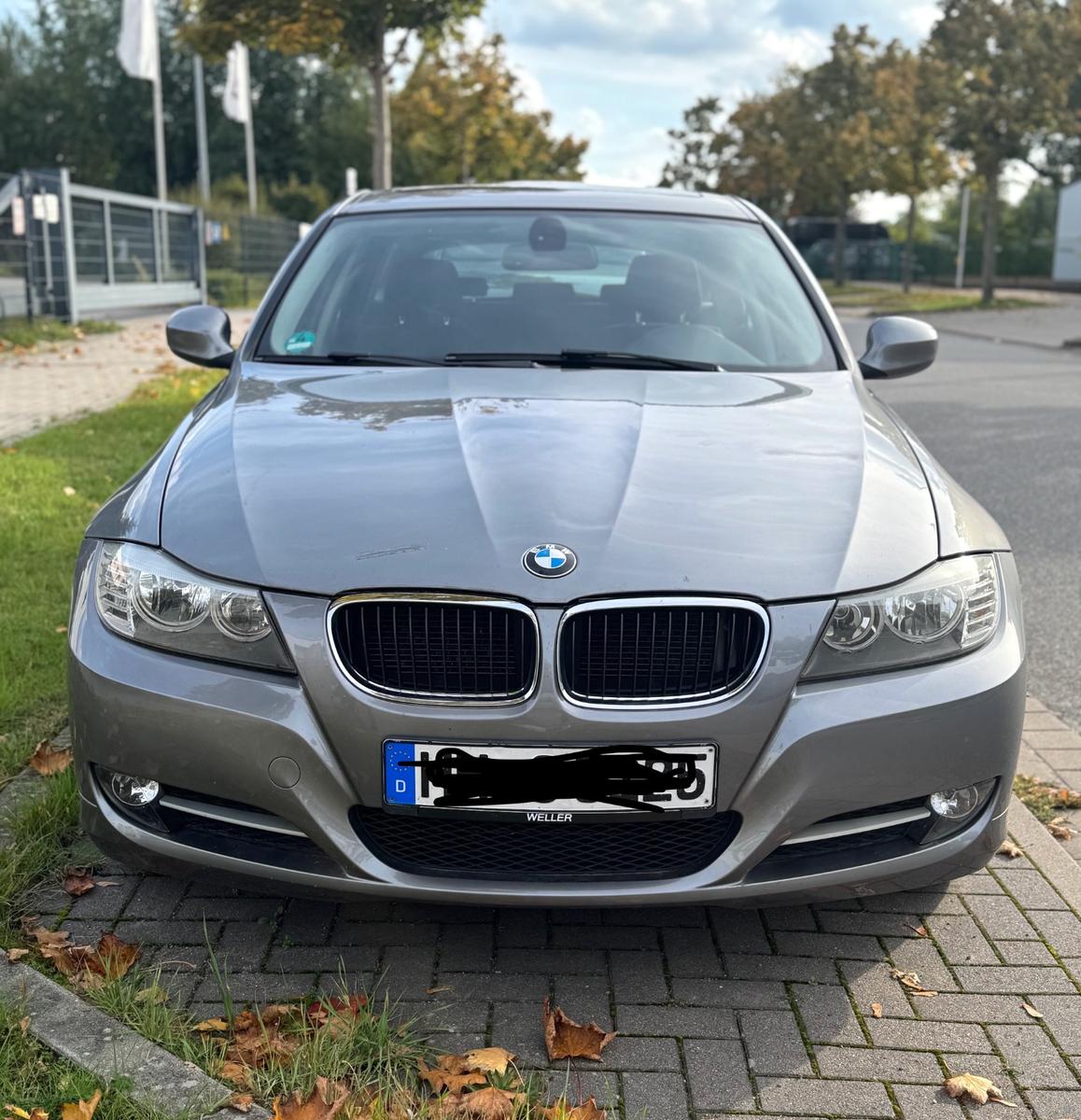 BMW 318 2011 — rear view