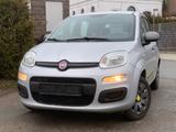 Fiat Panda Young - Fiat Panda: Young