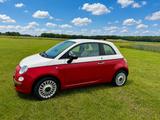 Fiat Sondermodell Fiat 500 1.2 Pop, Rot/Weiß TÜV neu  - Fiat 500: Weis