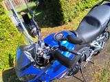 Triumph Tiger 1050 - TRIUMPH TIGER 1050