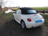 Volkswagen New Beetle Cabriolet 2,0 Harvest Moon-Beige - Volkswagen Beetle: New