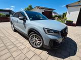 Audi SQ2 TFSI S tronic quattro PANO AHK NAVI 19" - Audi SQ2 von privat
