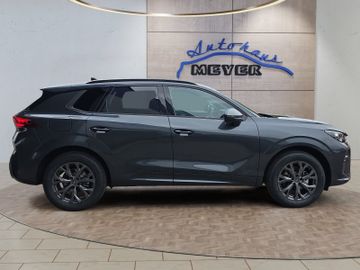 Cupra Terramar - 6