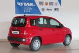 Fiat Panda Pandina Urban 1.0 Hybrid *CityPaket* - Fiat Panda: Pandina